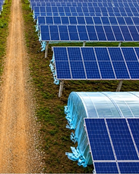 Solar panel for greenhouse Solar panel for greenhouse