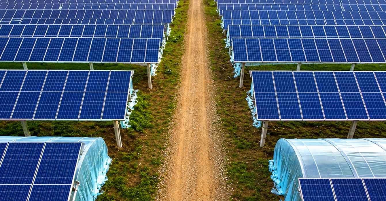 Solar panel for greenhouse